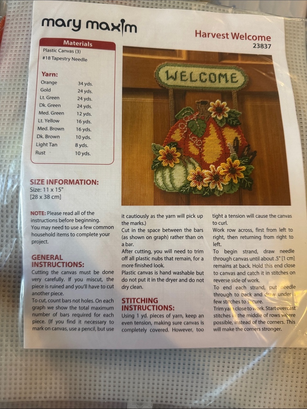 Mary Maxim Orange & Green Harvest Welcome pumpkin needle pint cross stitch